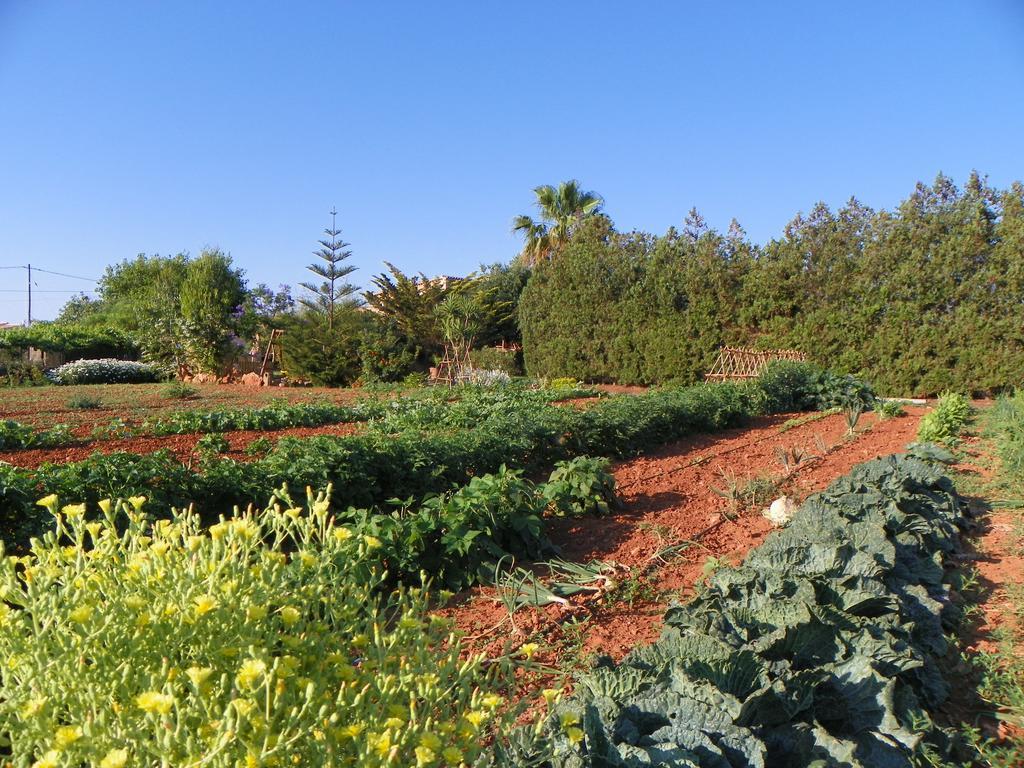 Agroturisme Can Bessol S'Horta Kültér fotó